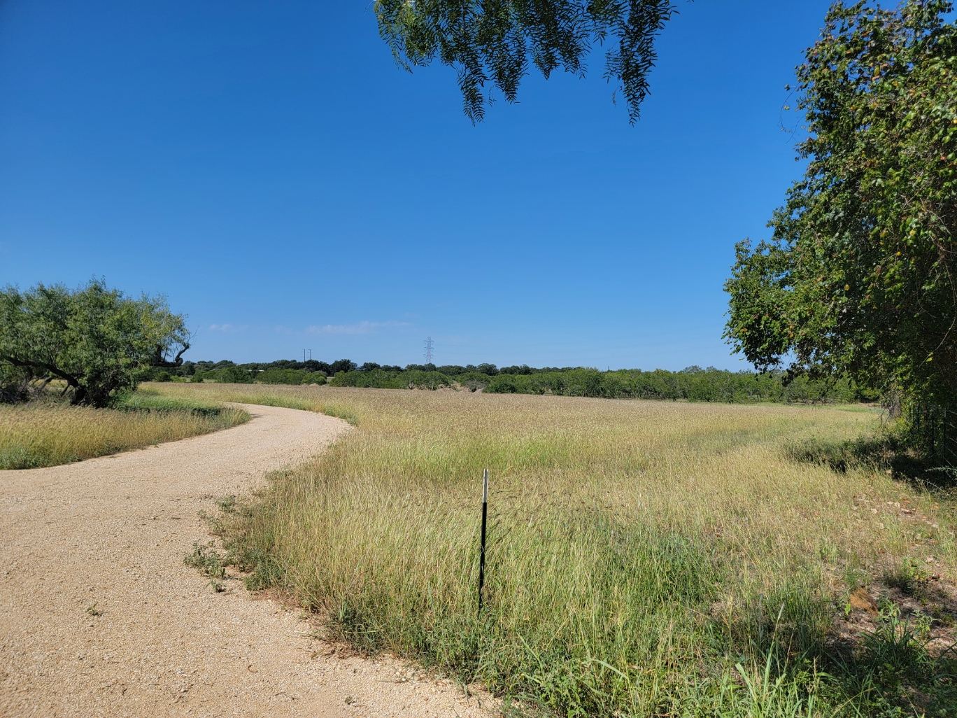 Wire fence line and finished caliche ranch road on a Central Texas property