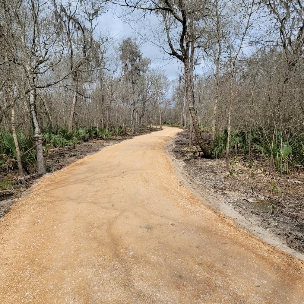 Graded caliche road cut through woodland